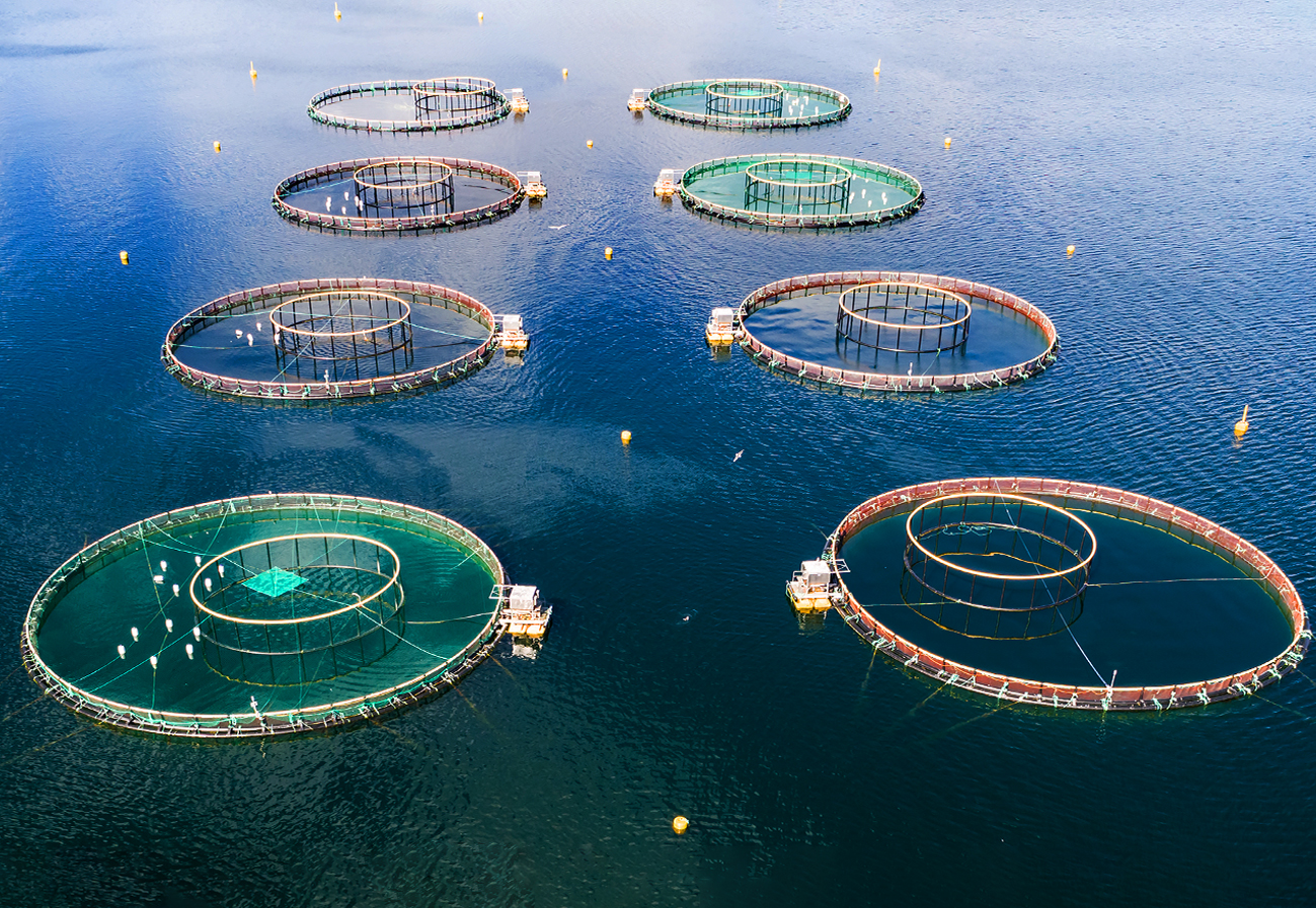 Aquaculture and Fishery