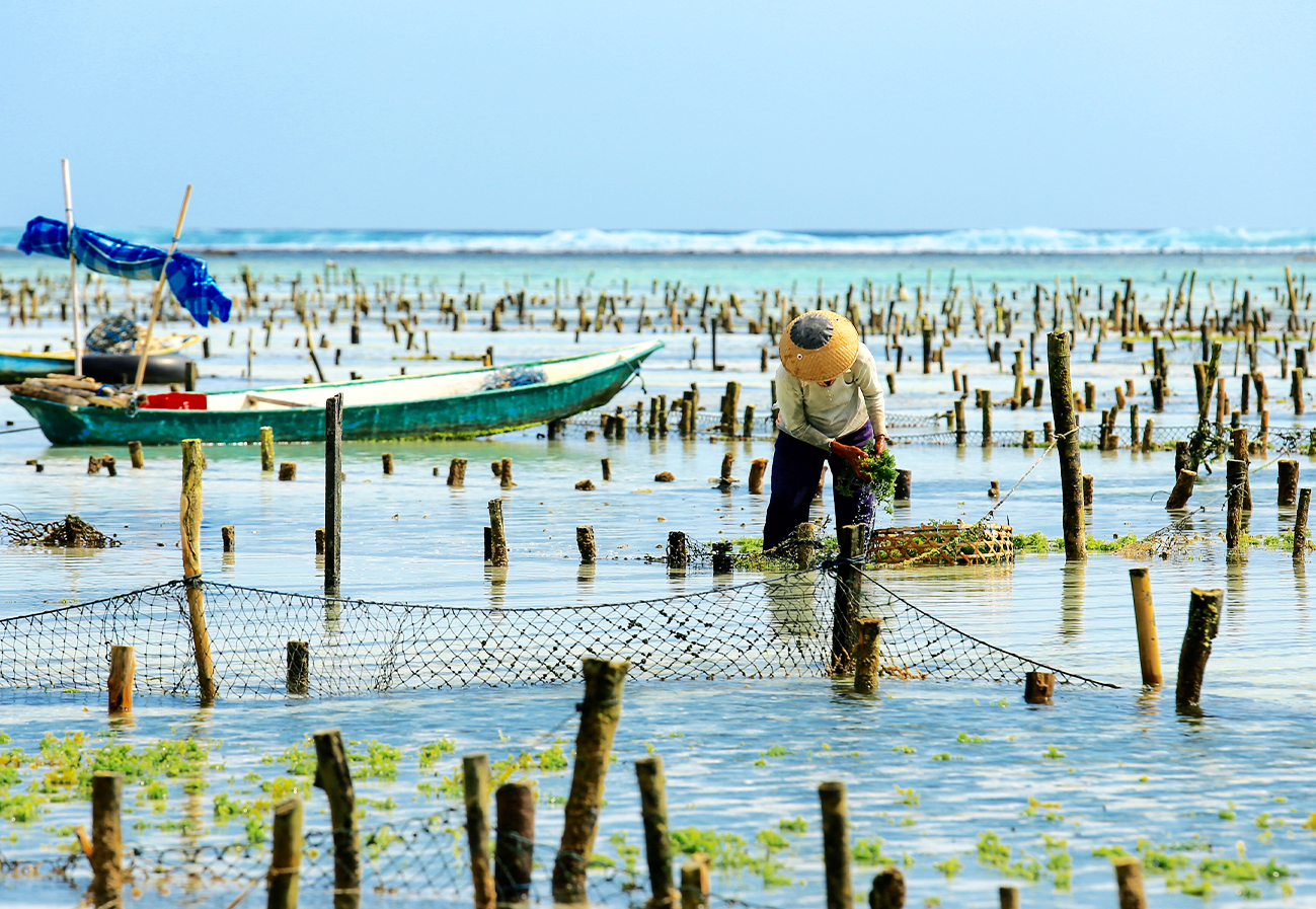 Marine Coastal Resources